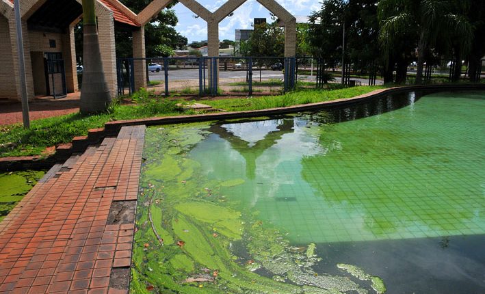 horto-florestal-valdenir-rezende-1